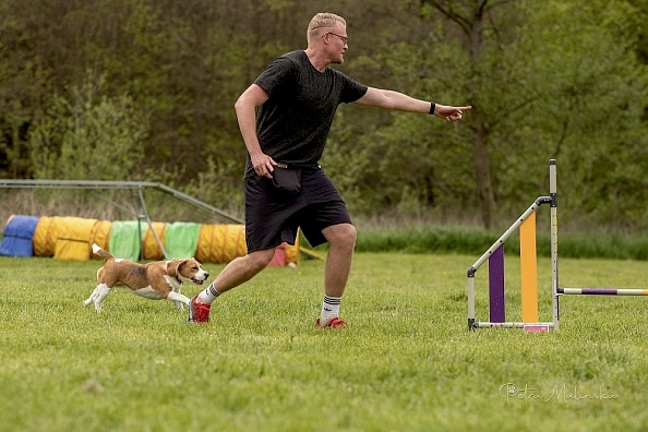 Michal při agility tréninku s pejskem